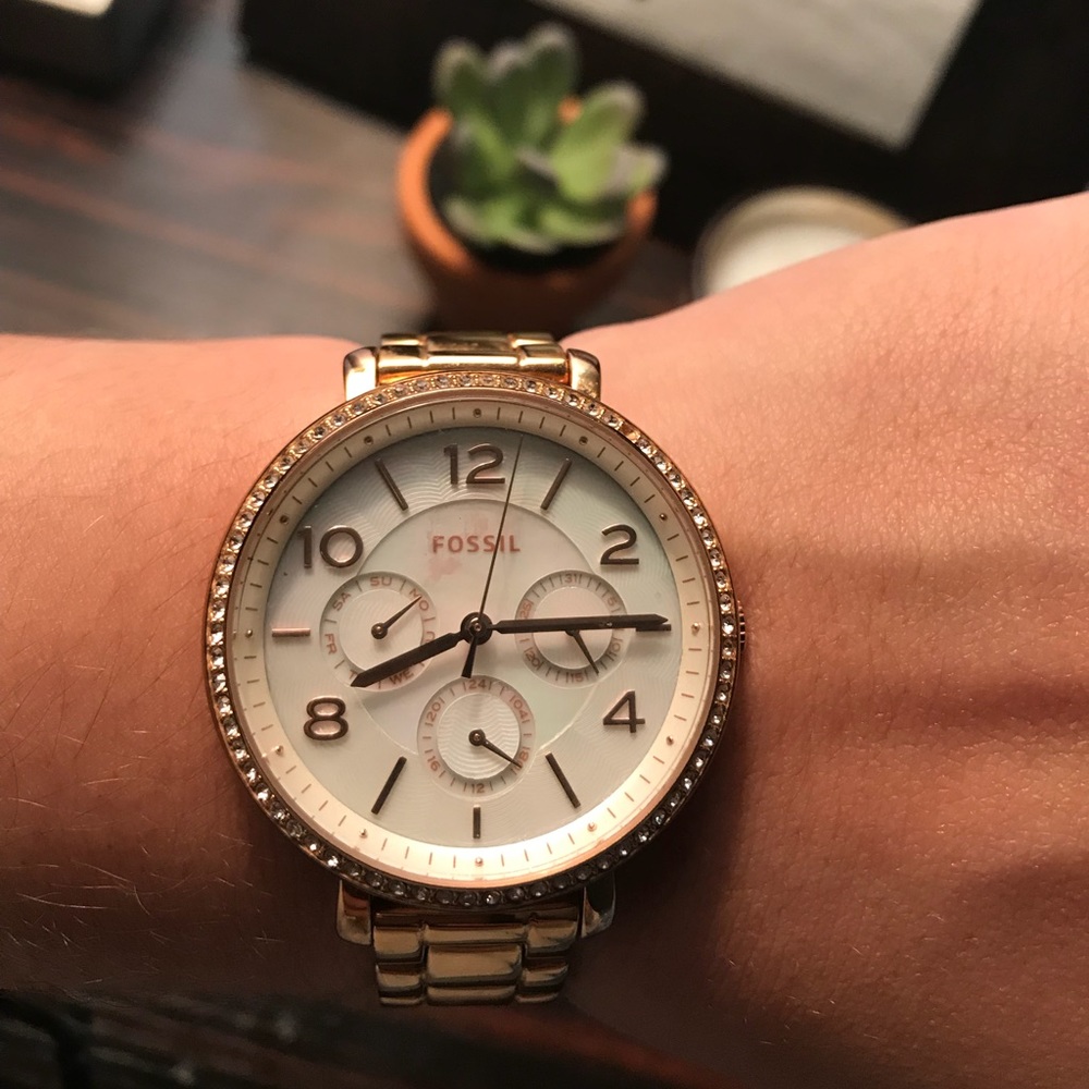 FOSSIL “THE PELICAN” WATCH